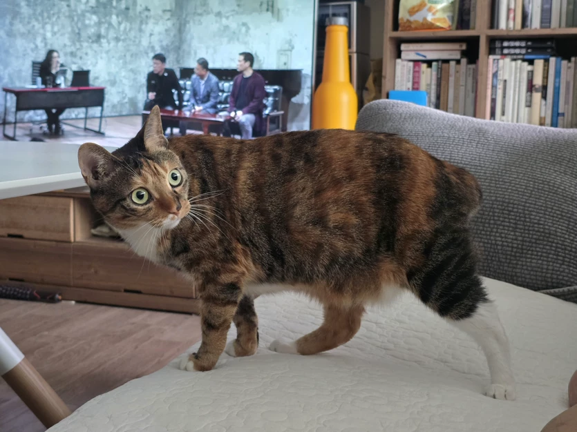 게시글 이미지