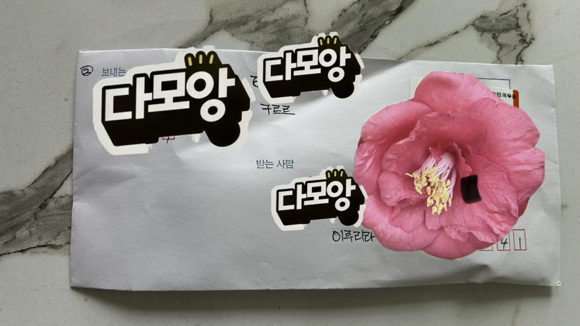 게시글 이미지