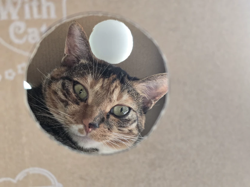 게시글 이미지