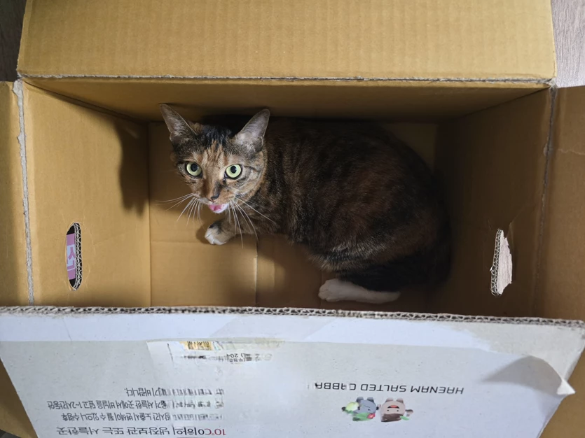 게시글 이미지