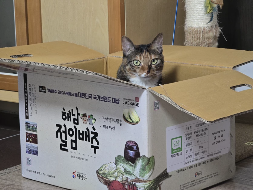 게시글 이미지