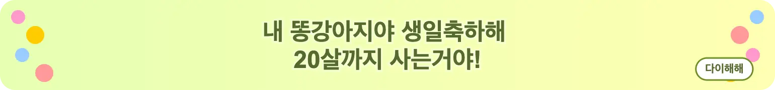 내 똥강아지야 생일축하해 20살까지 사는거야! (다이해해)
