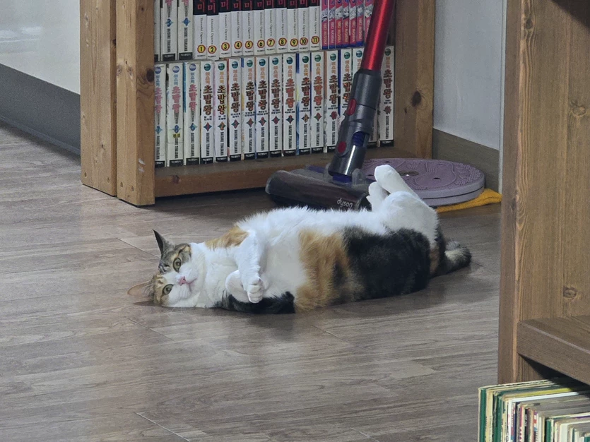 게시글 이미지