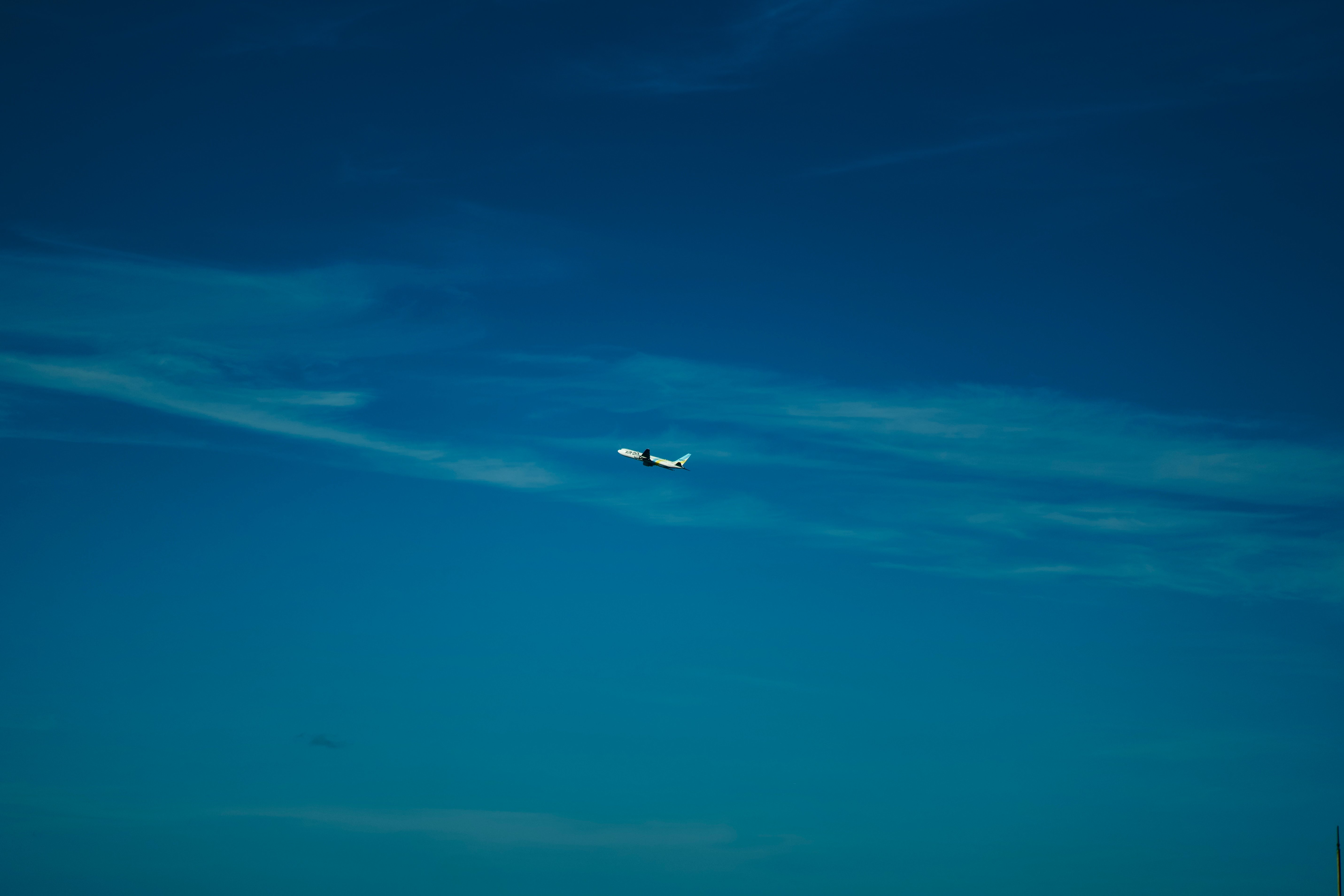 DSC02006.jpeg