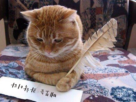 첨부 이미지