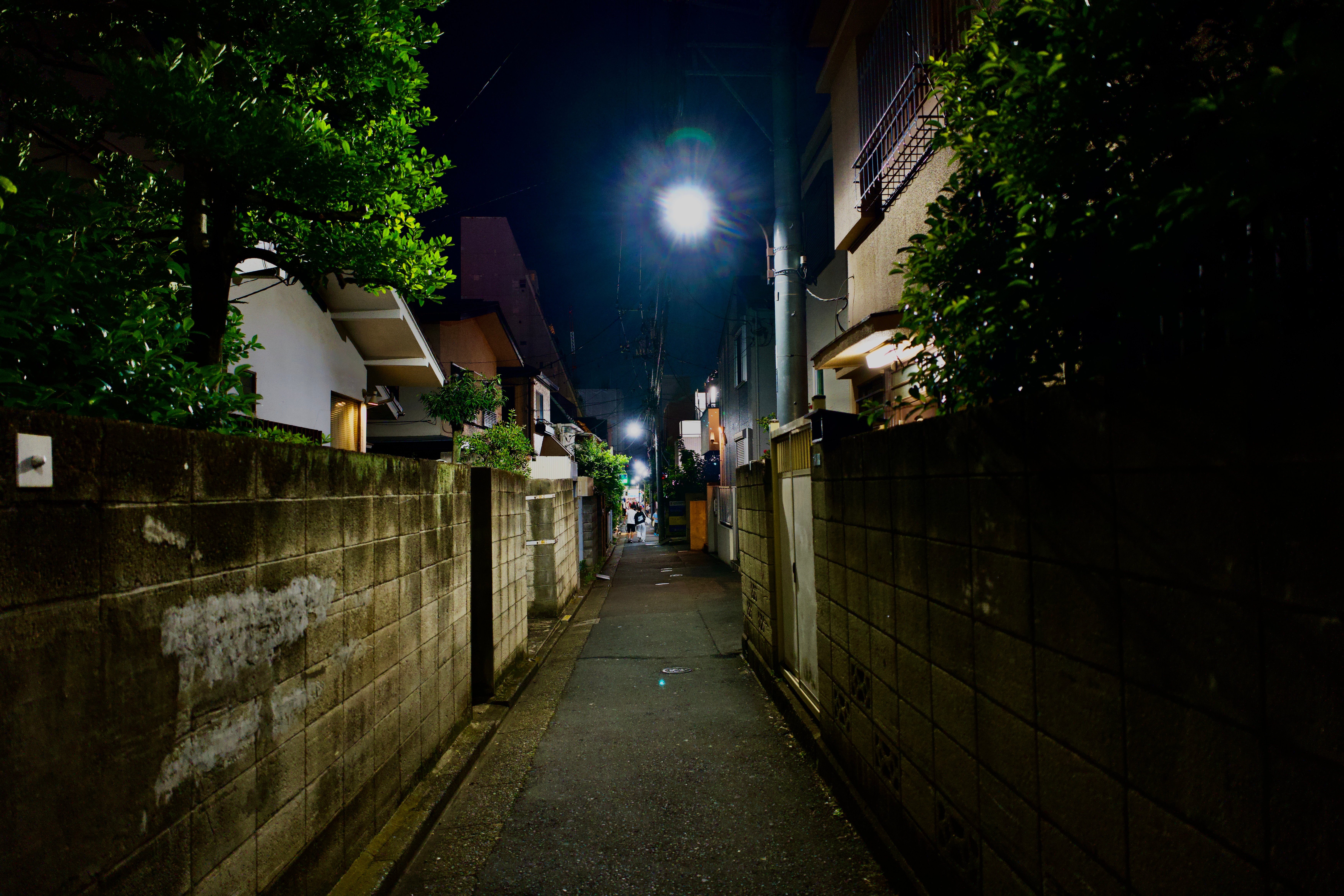 DSC01863.jpeg