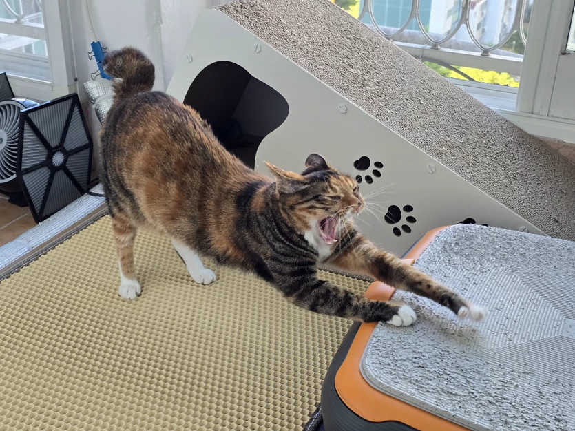 게시글 이미지