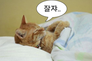 첨부 이미지