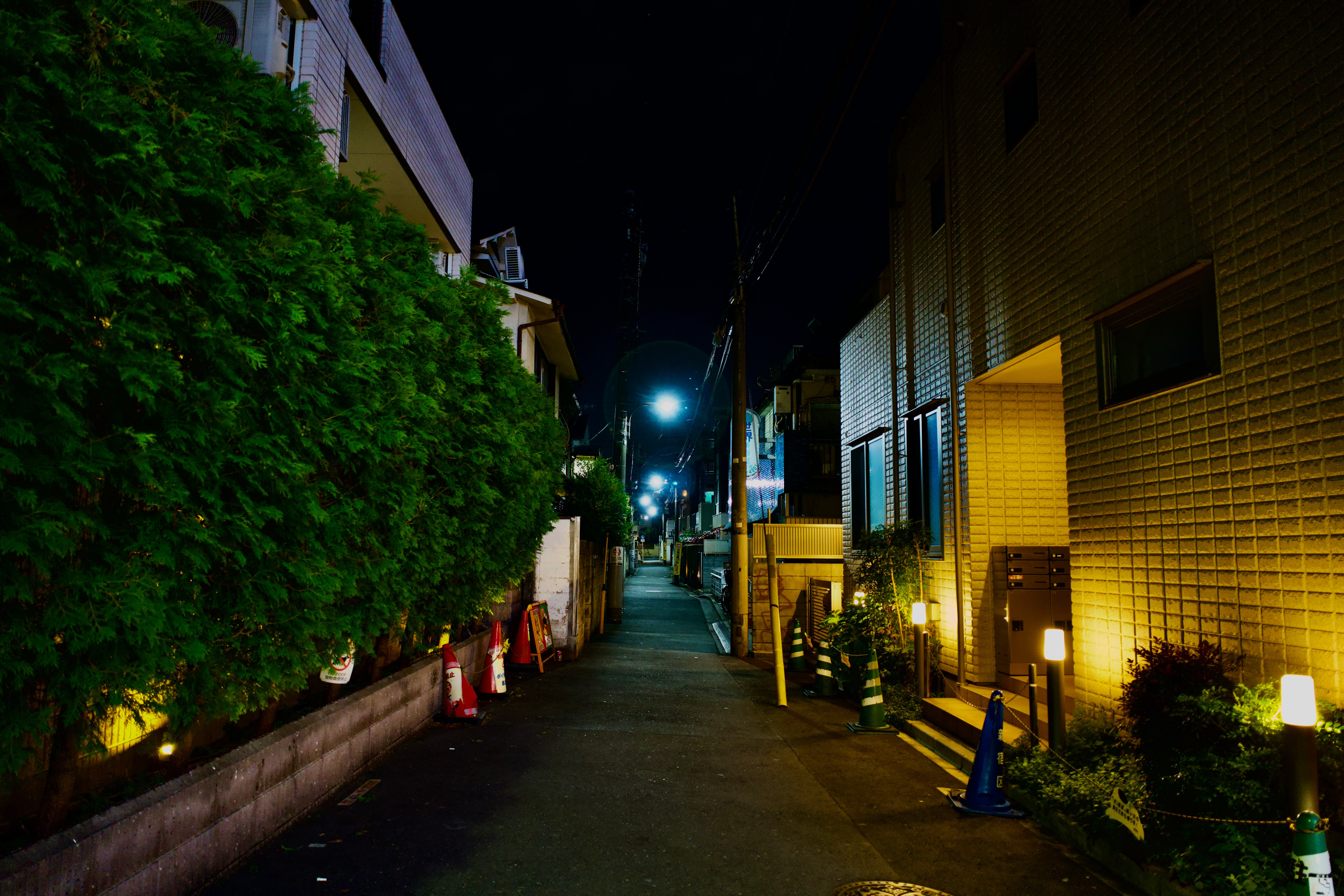 DSC01861.jpeg