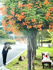 여기를 보세요