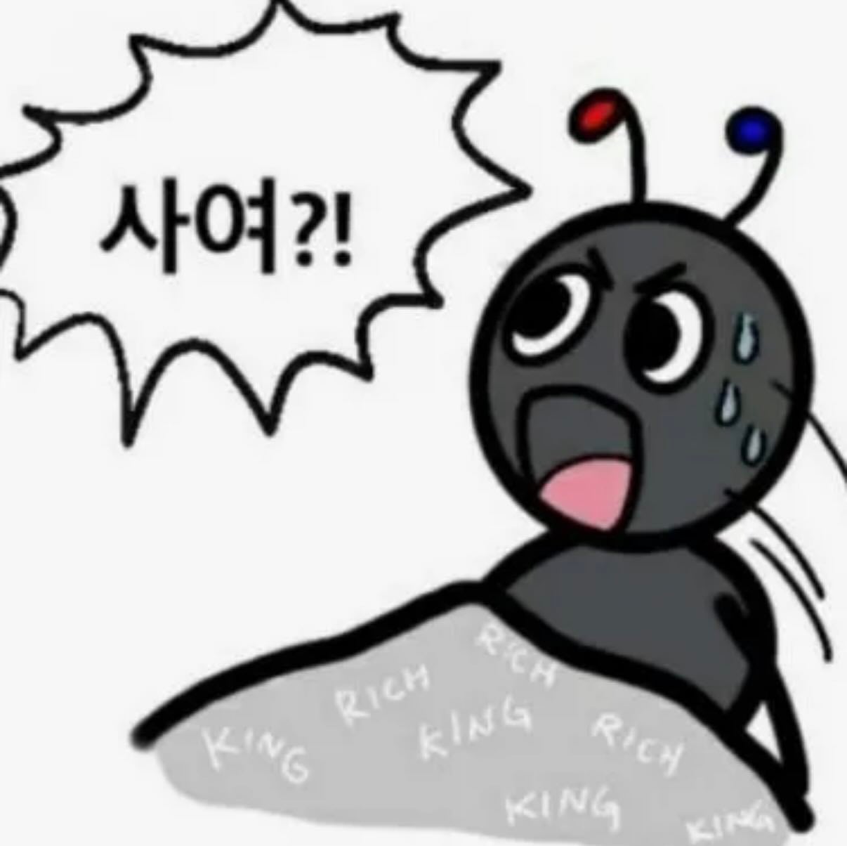 첨부 이미지