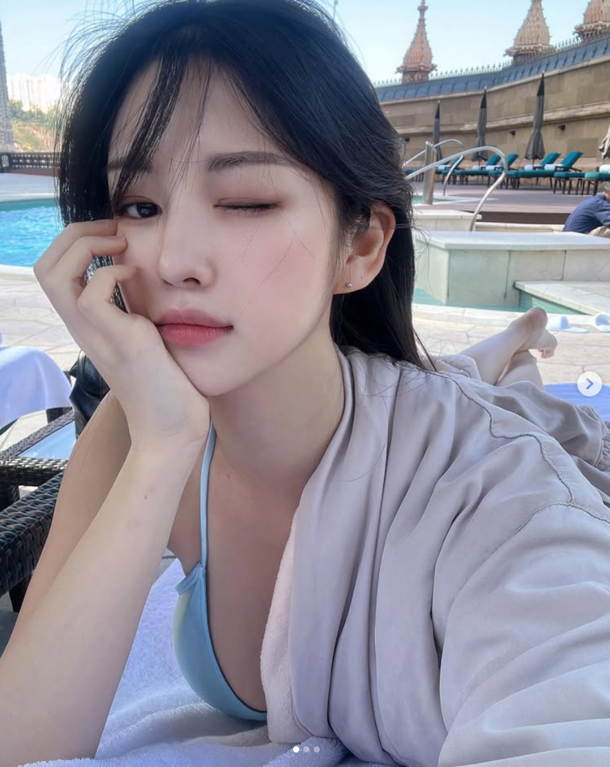 고피디