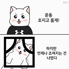 첨부 이미지