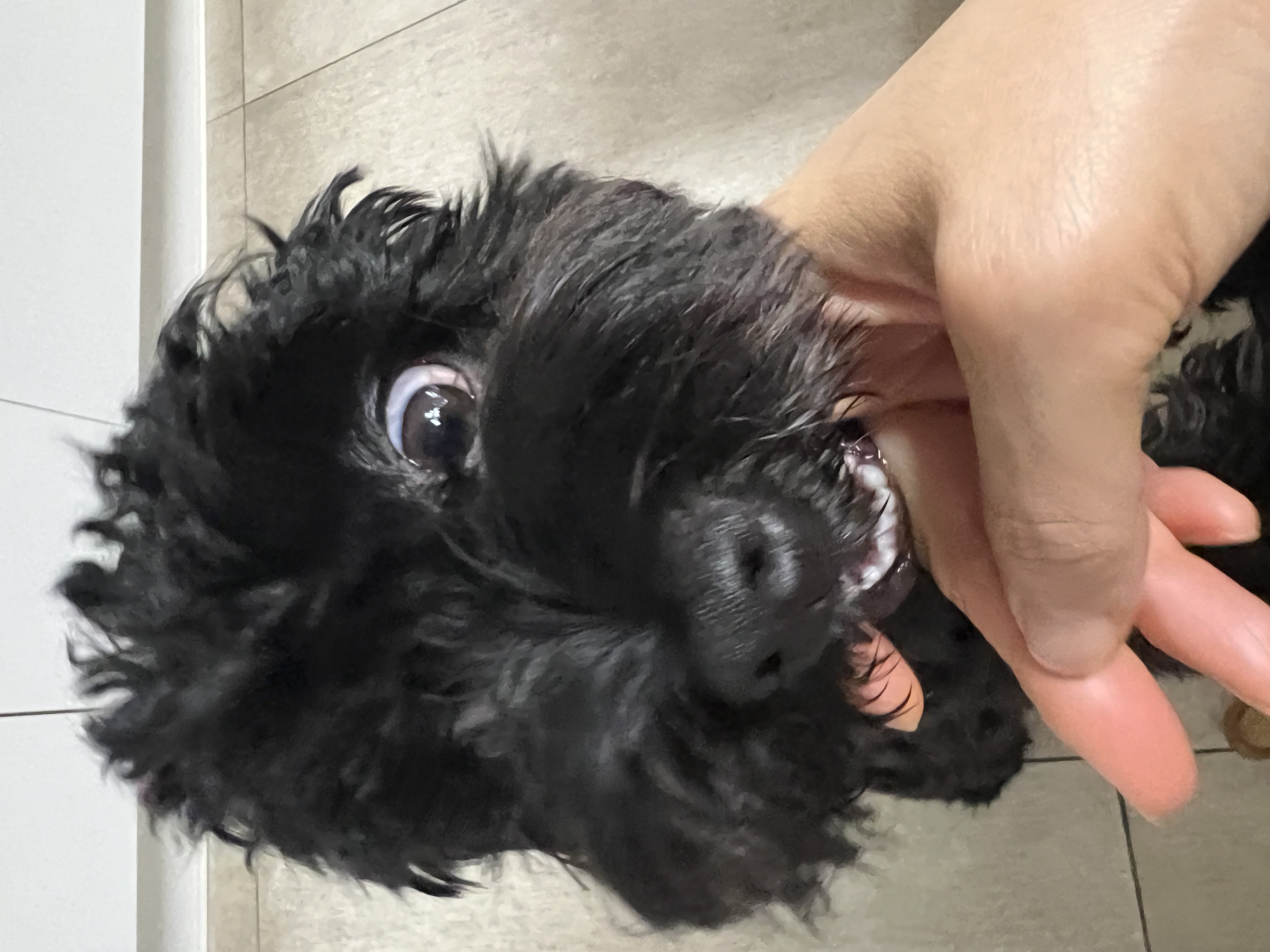 노을