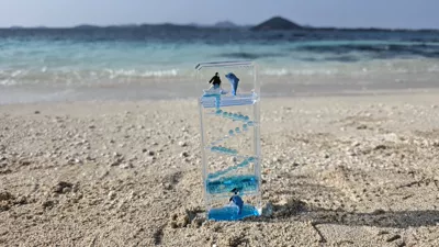제주도 지난 겨울 우도