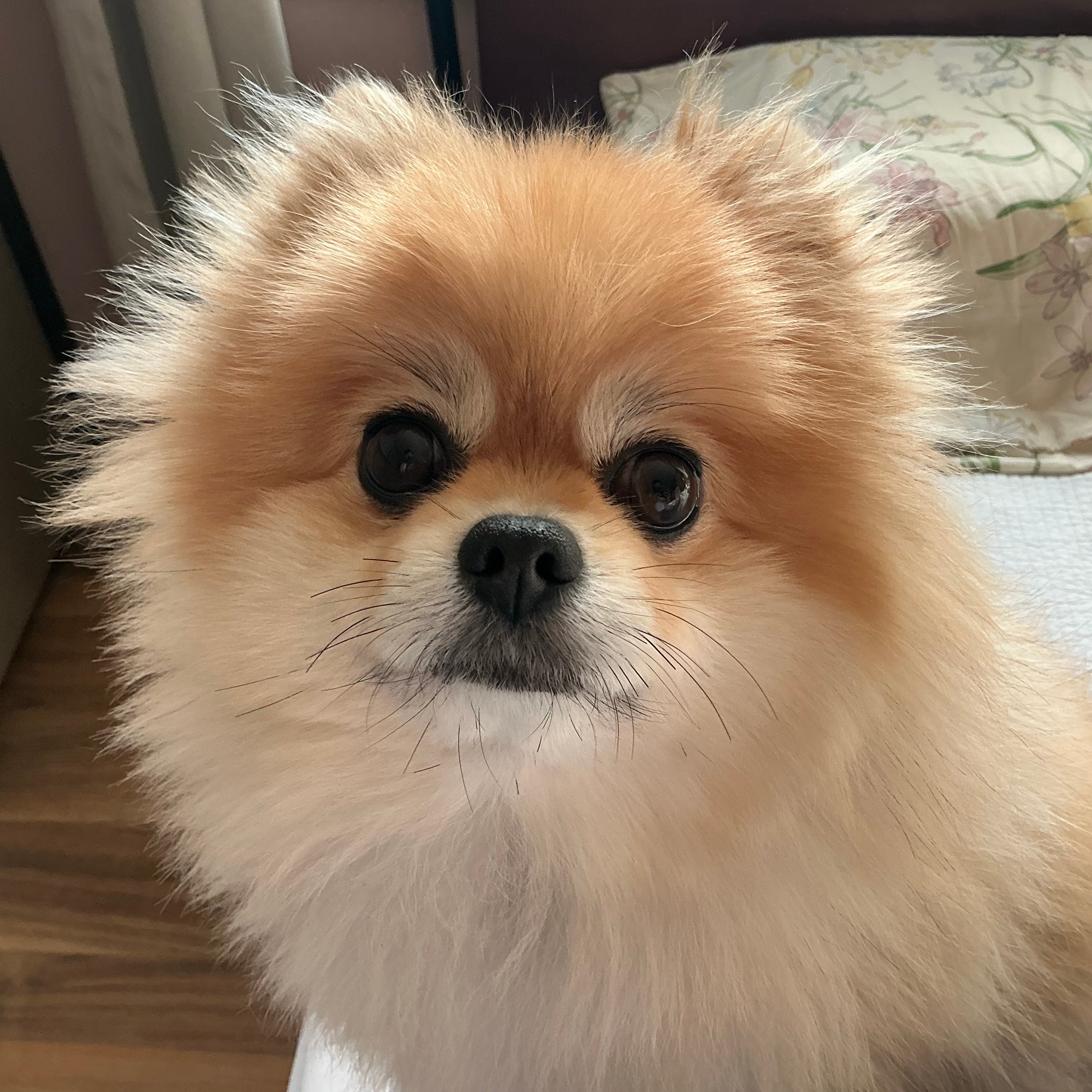 모빌맨