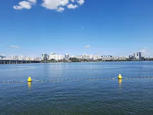 靑... 淸