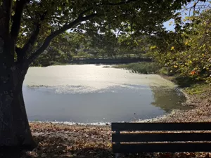 경주 갑산리