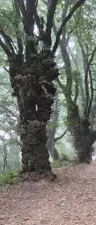 산티아고 순례길