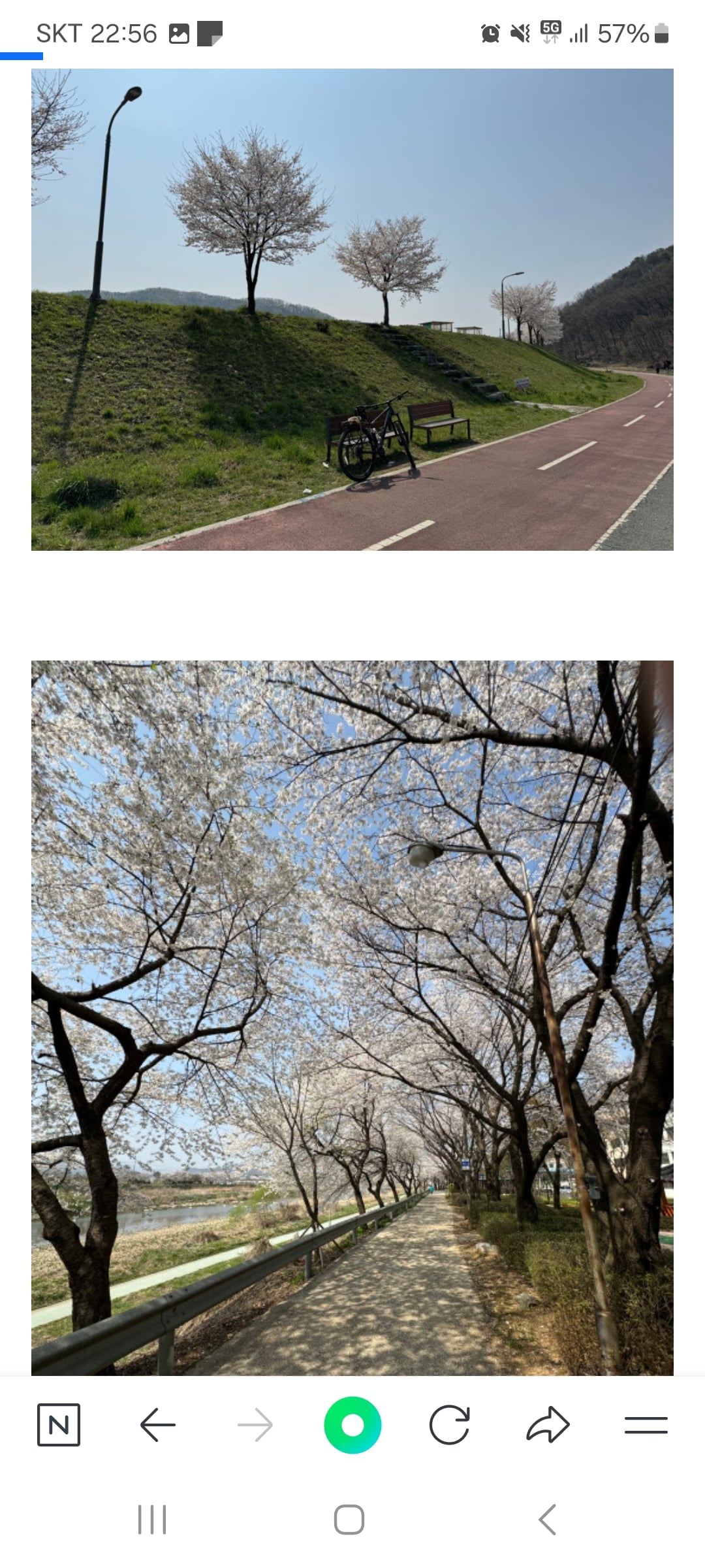 게시글 이미지