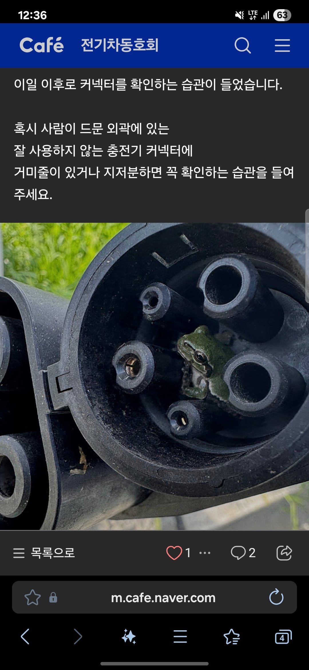 게시글 이미지