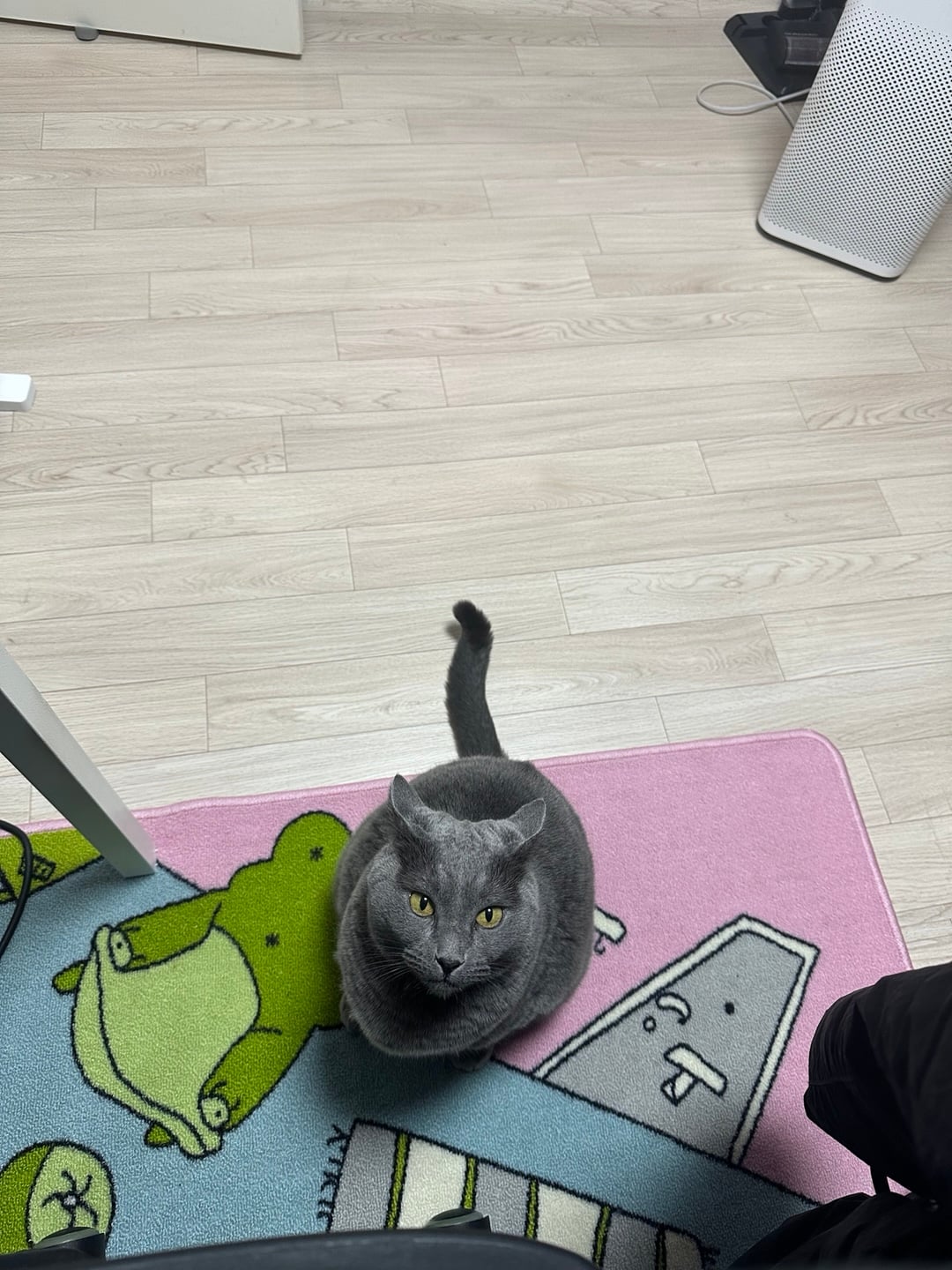 게시글 이미지