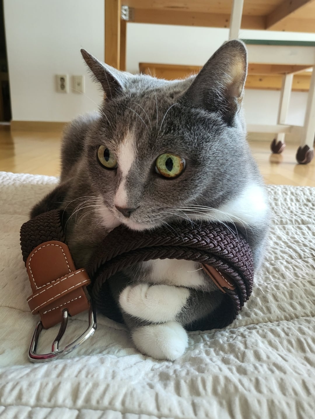 게시글 이미지