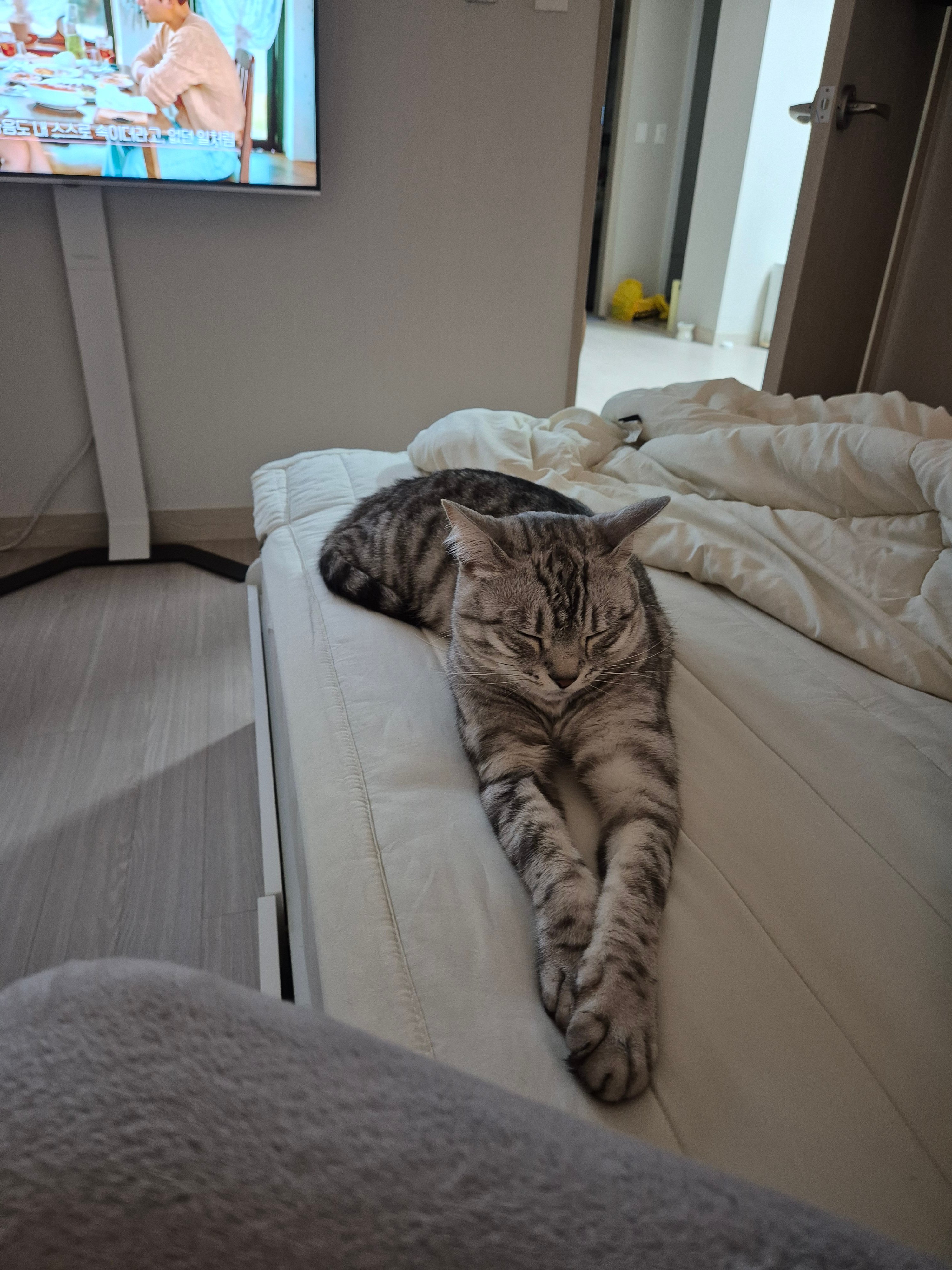 게시글 이미지