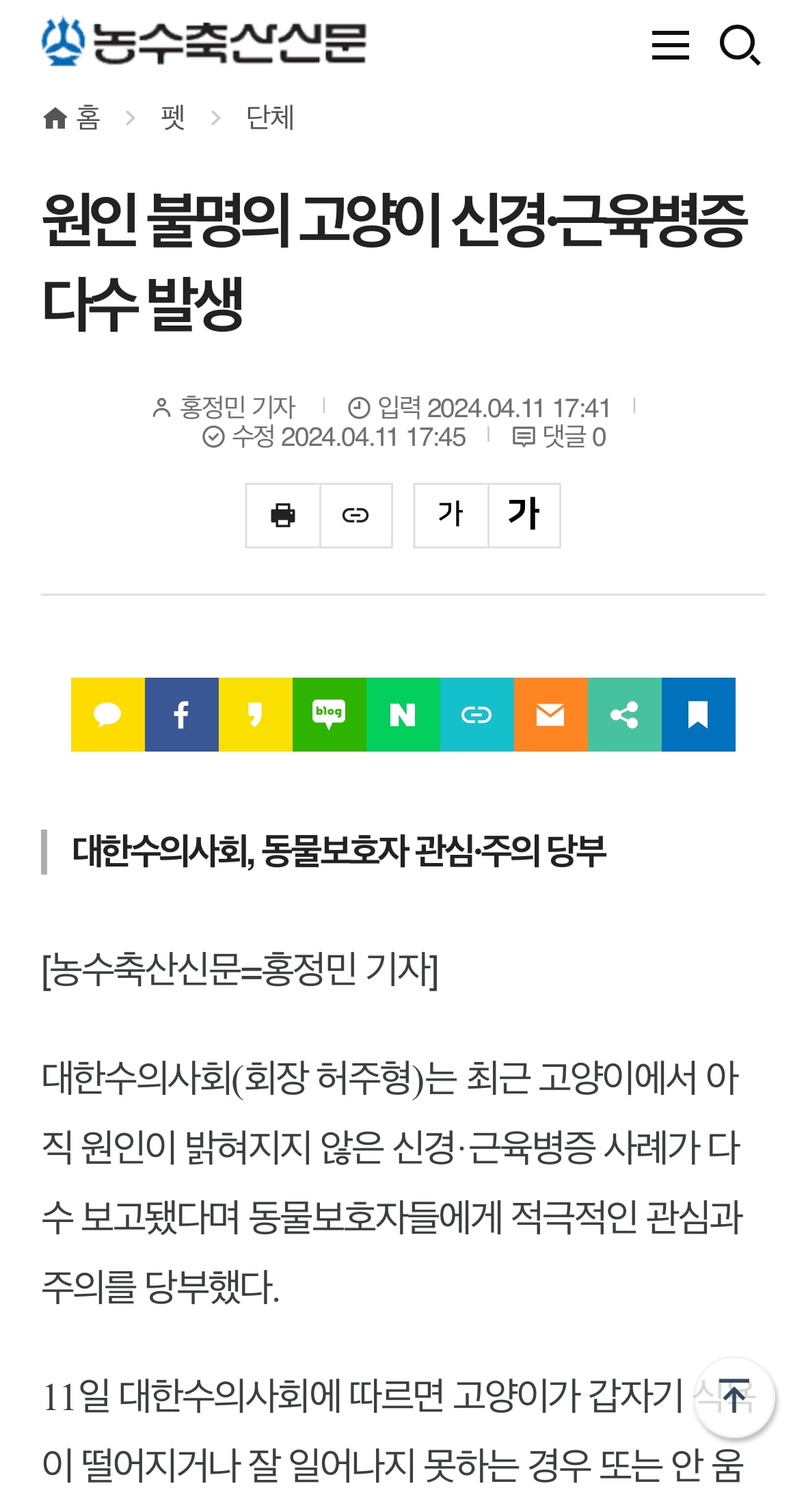 게시글 이미지