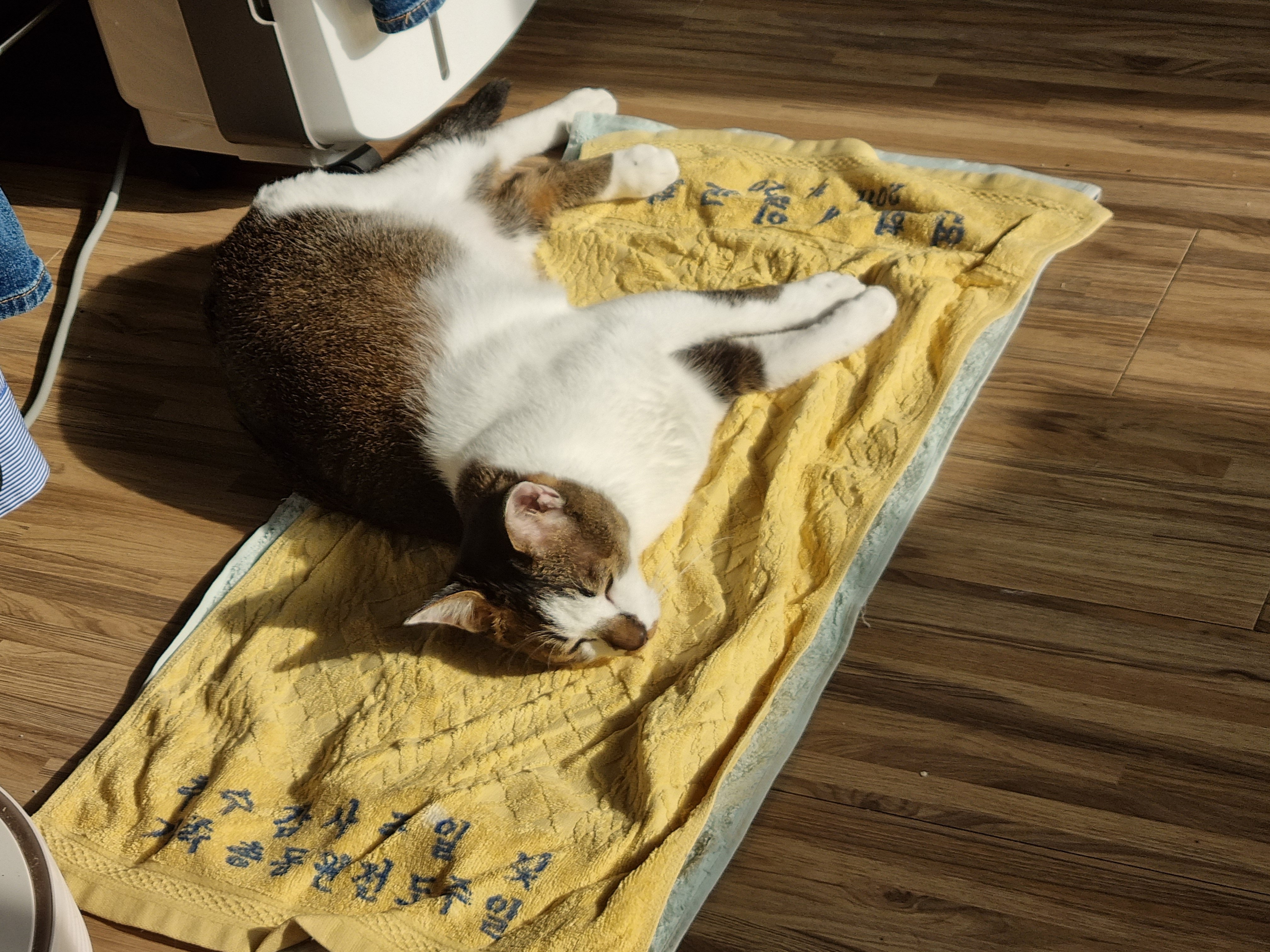 게시글 이미지