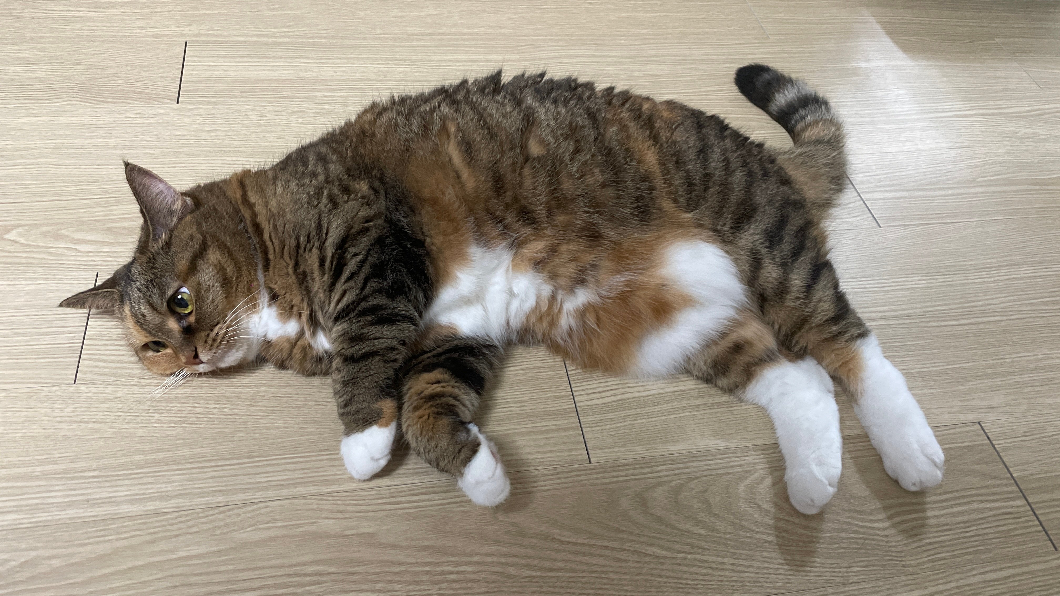 게시글 이미지