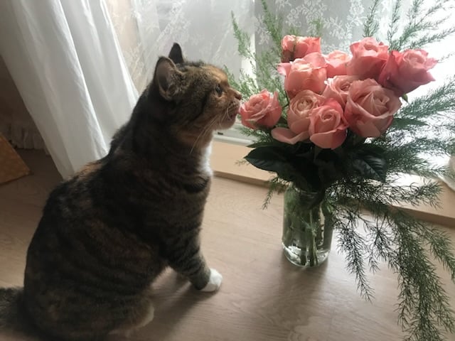 게시글 이미지