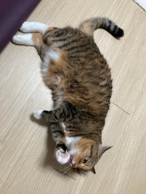 게시글 이미지