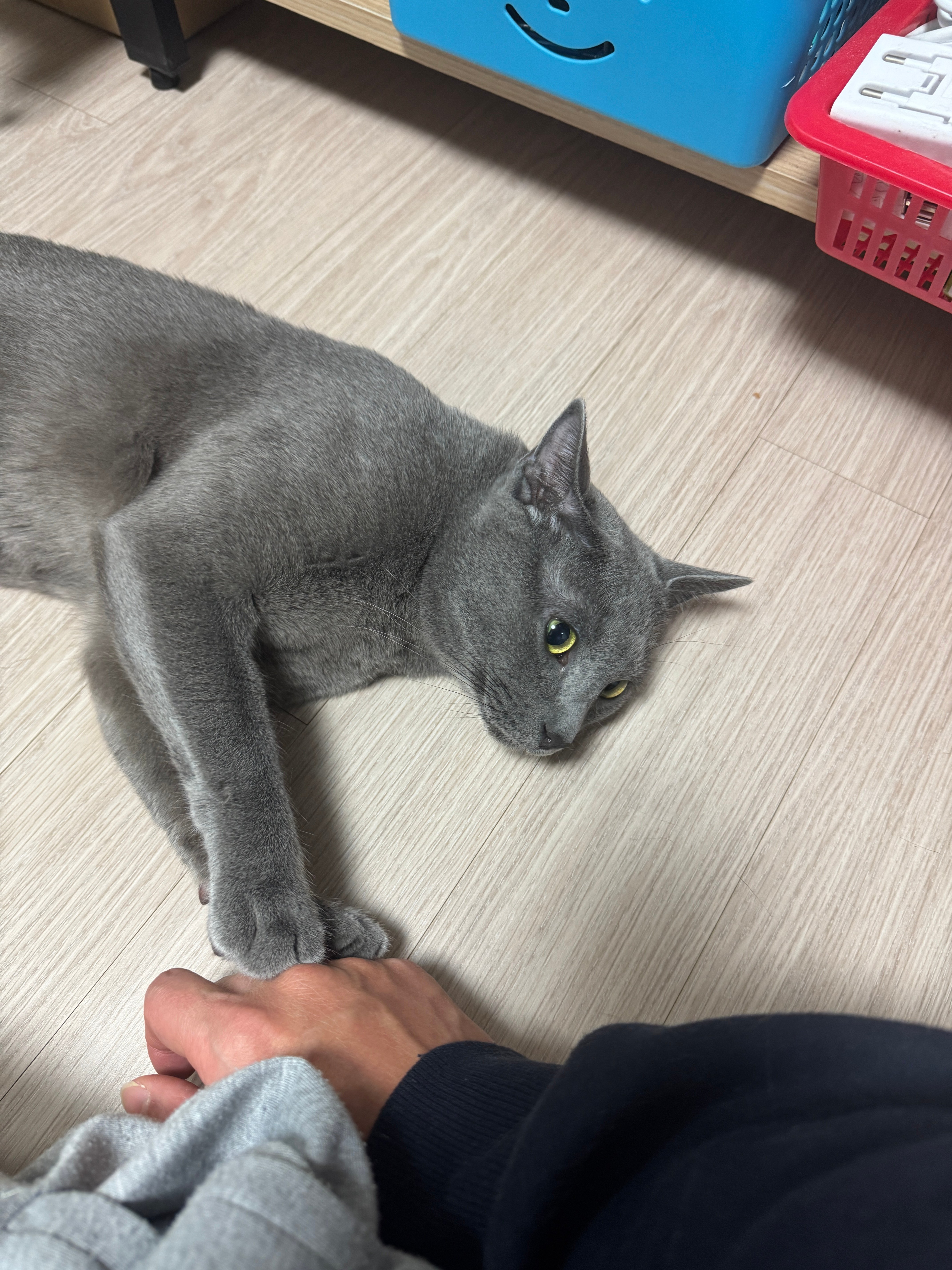 게시글 이미지