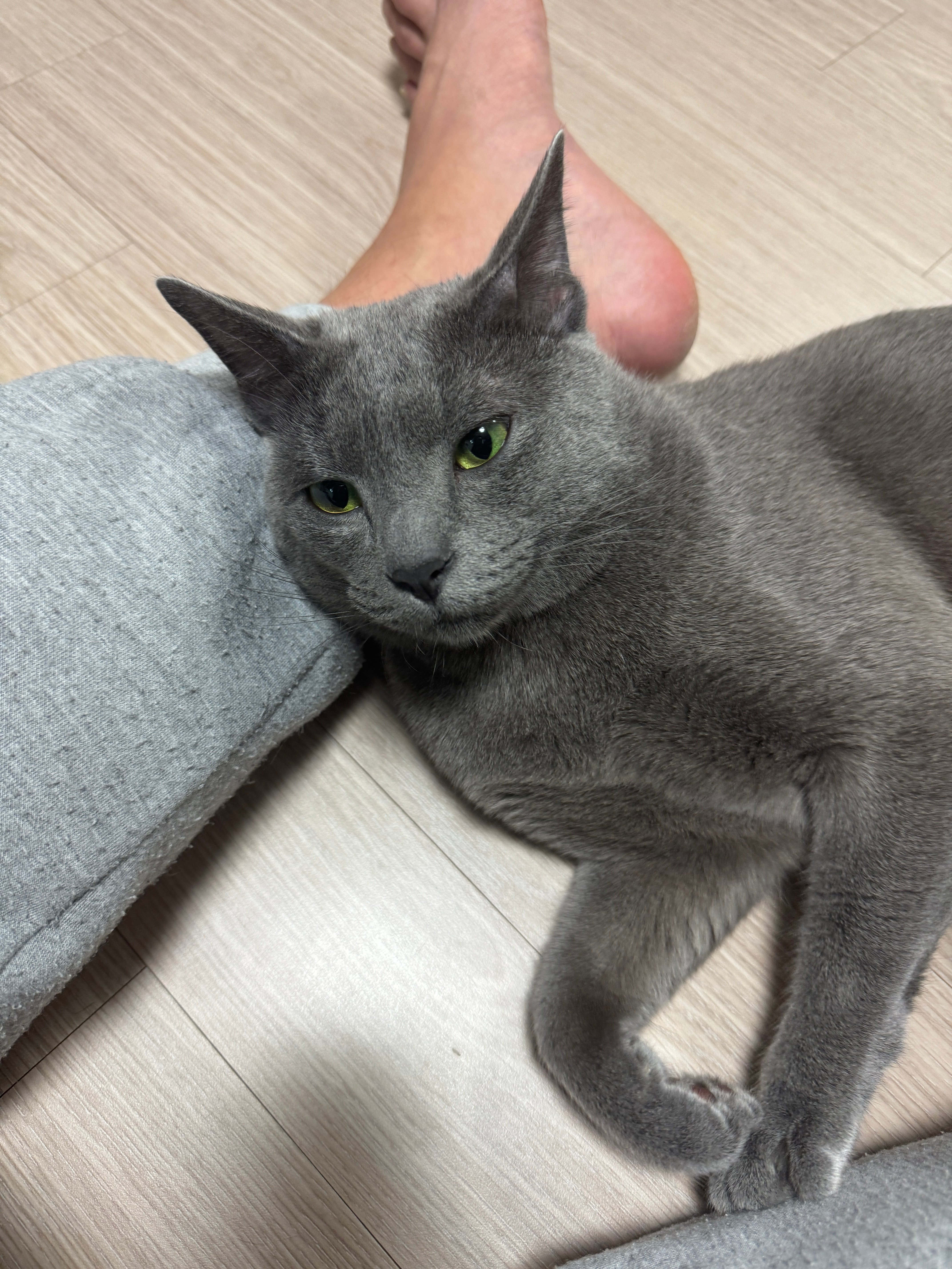 게시글 이미지
