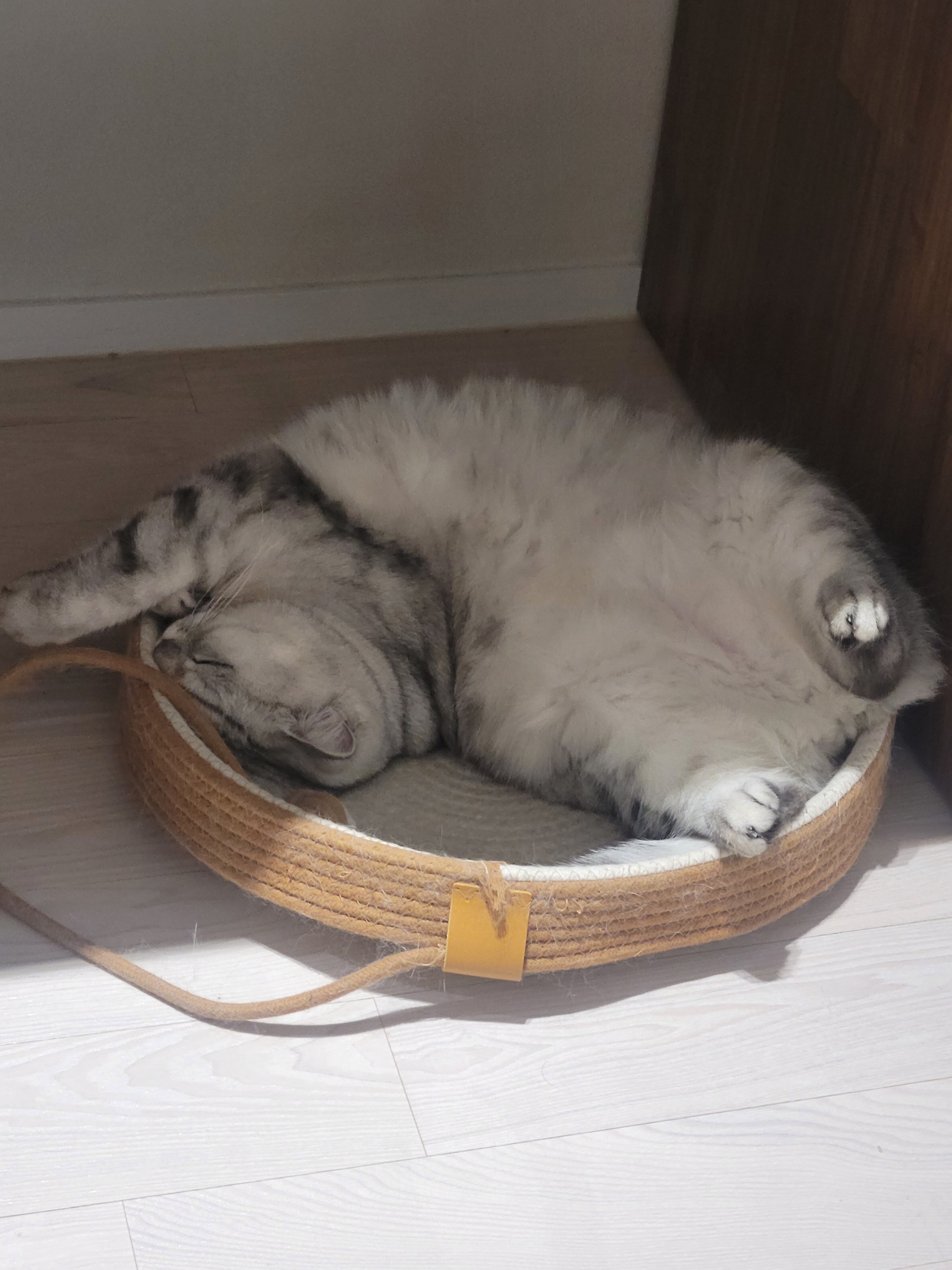 게시글 이미지