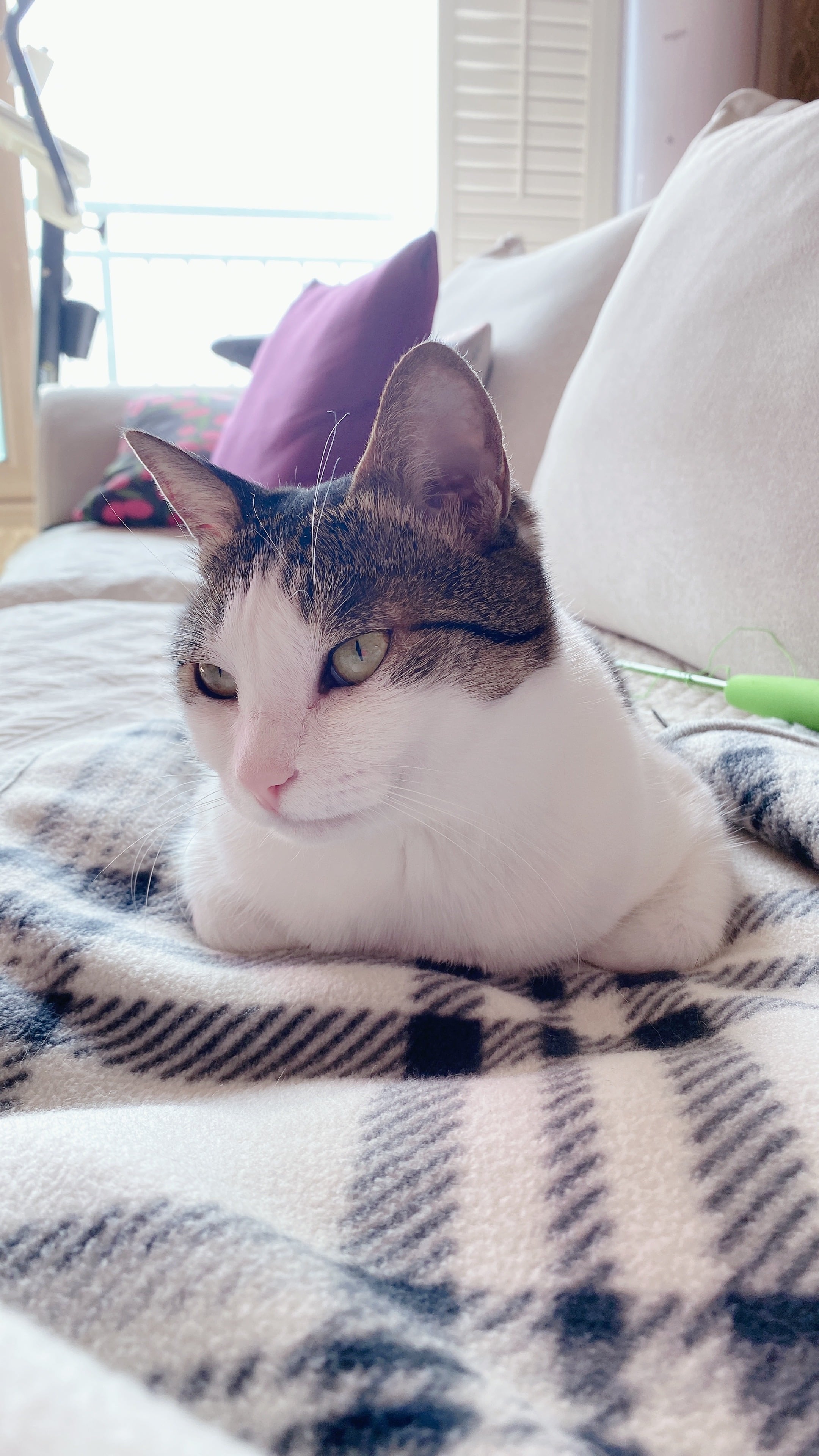 게시글 이미지