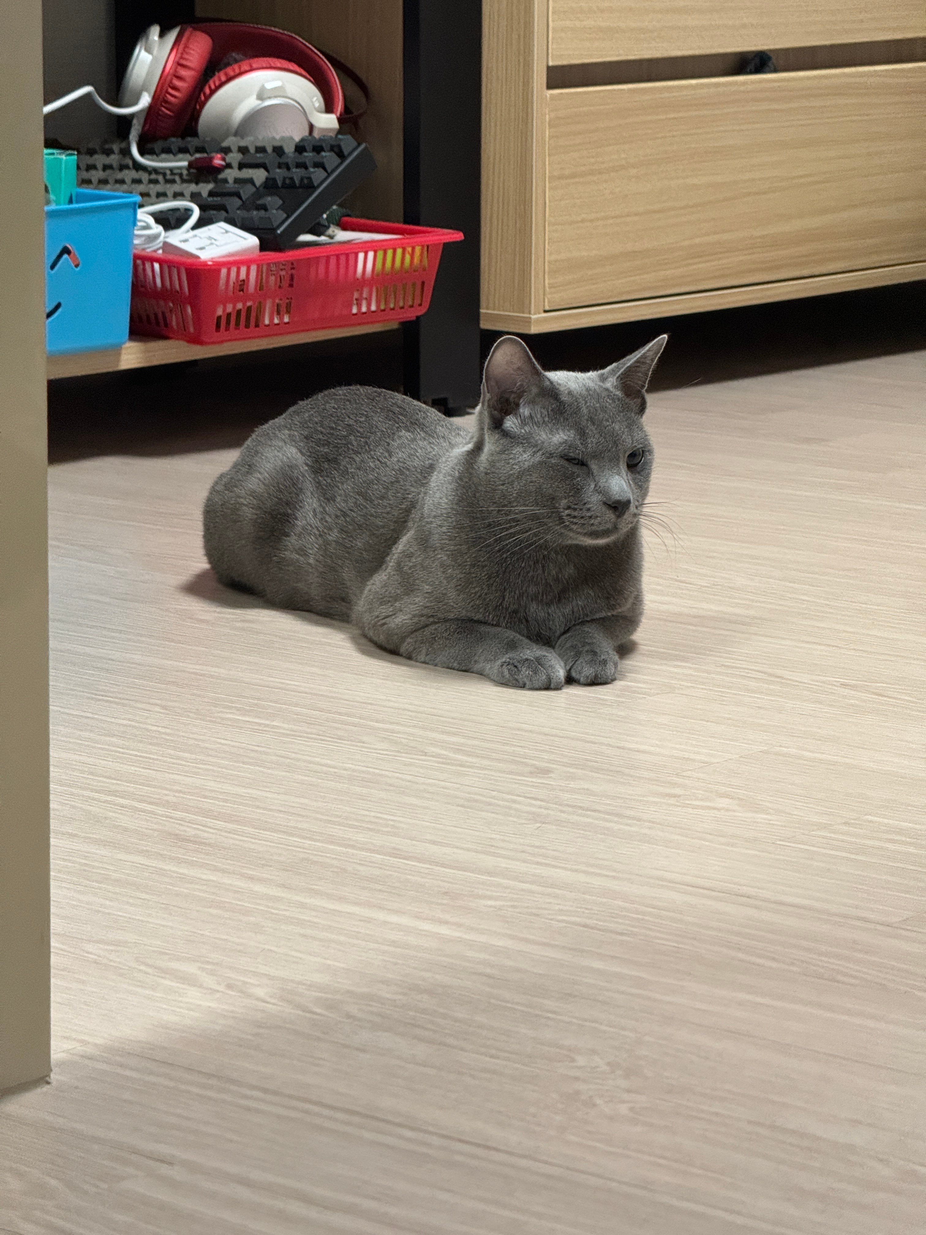 게시글 이미지