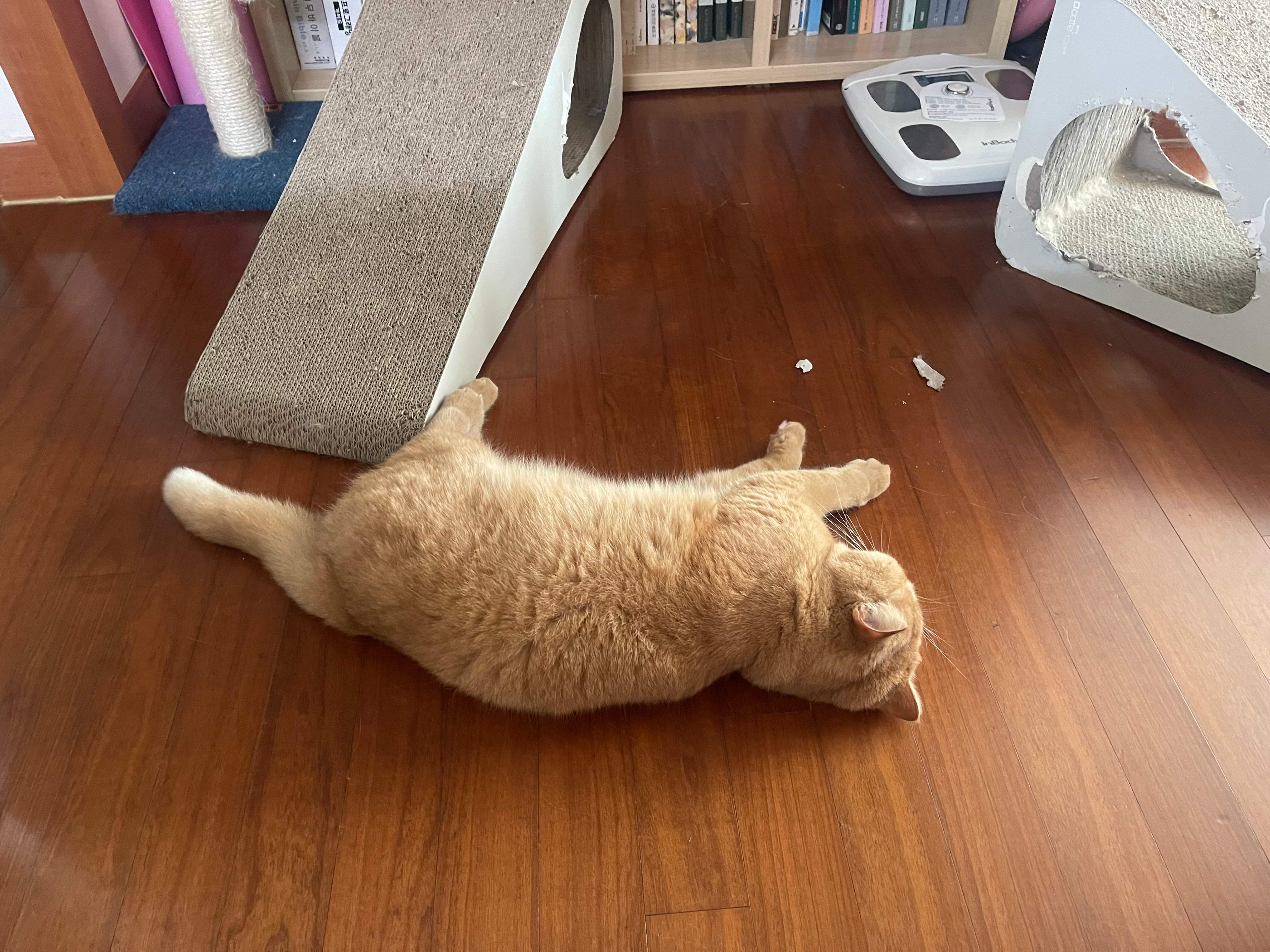 게시글 이미지