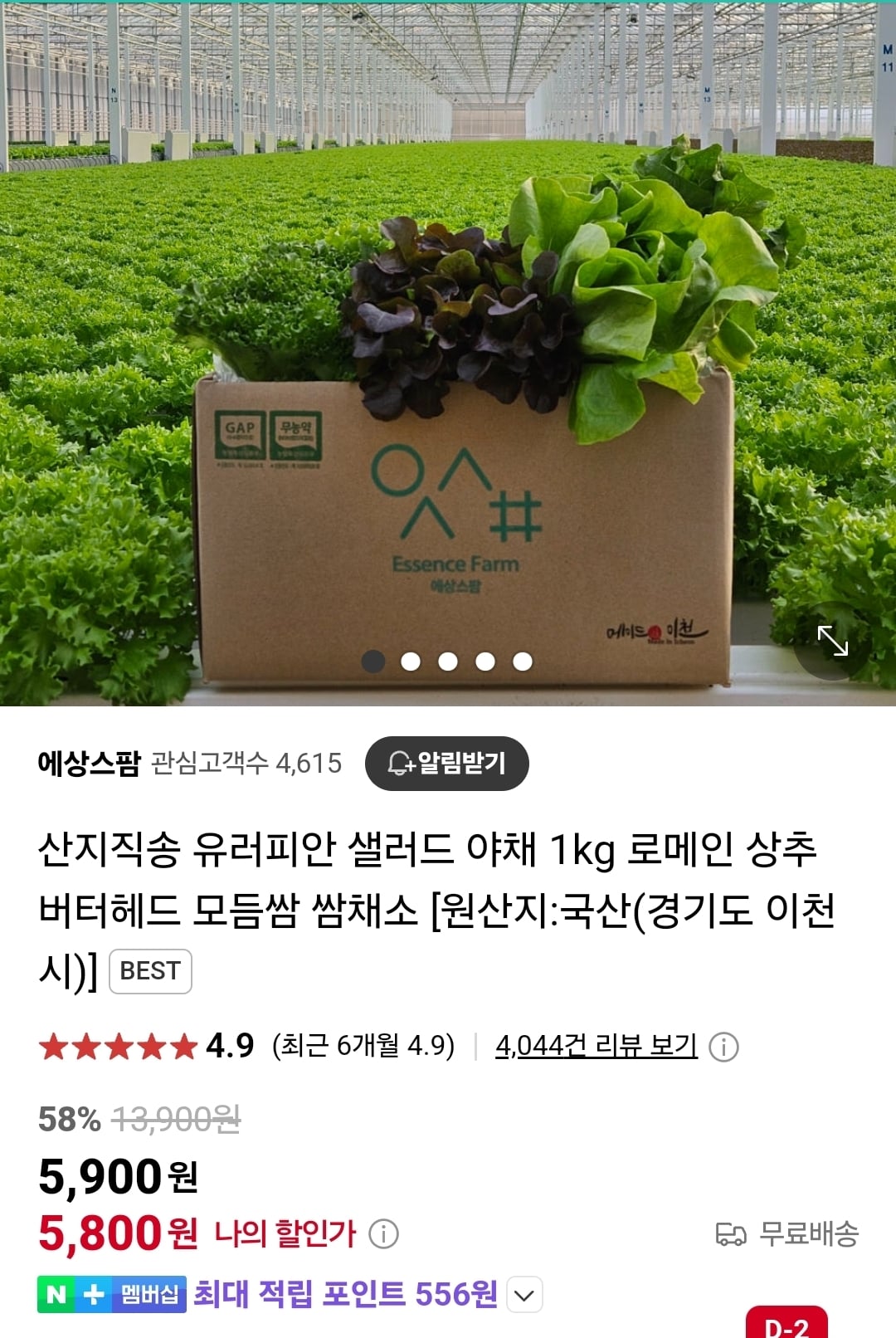 게시글 이미지