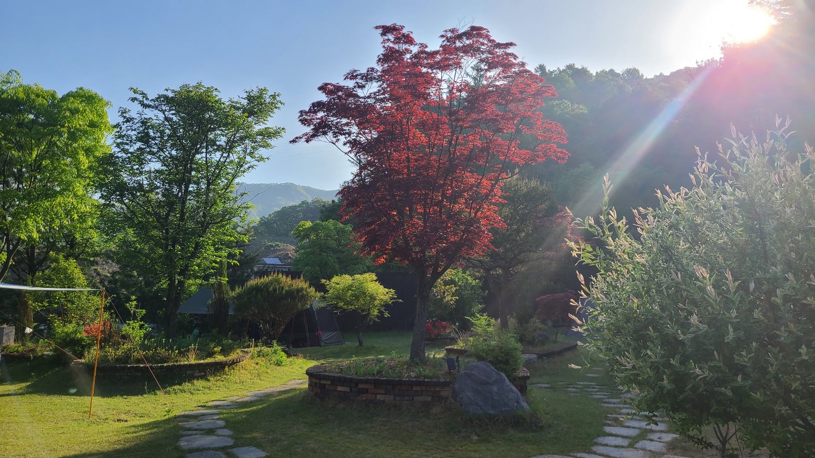 게시글 이미지