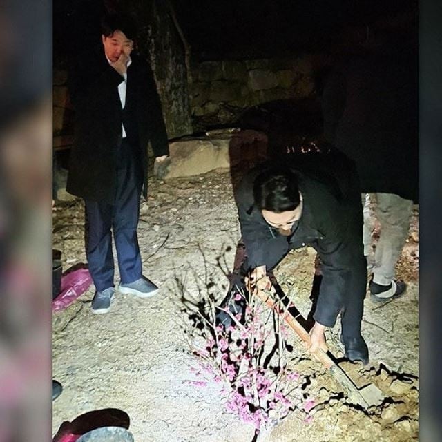 게시글 이미지