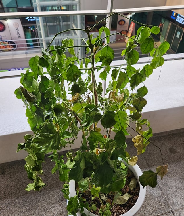게시글 이미지