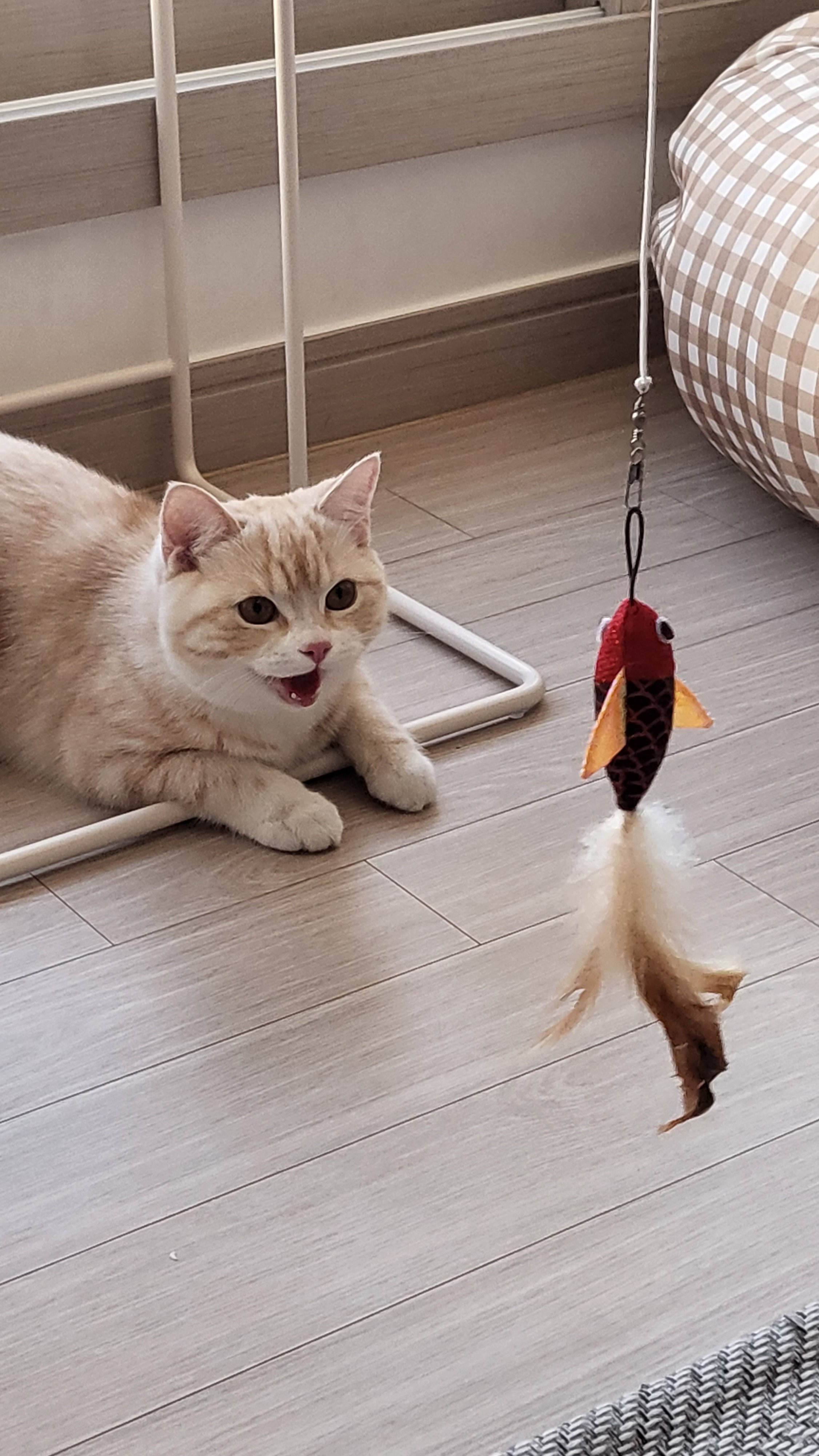 게시글 이미지