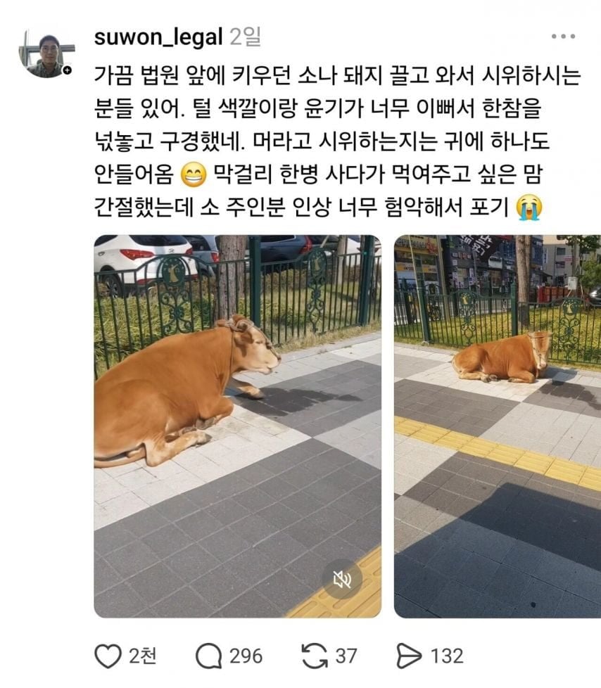 게시글 이미지