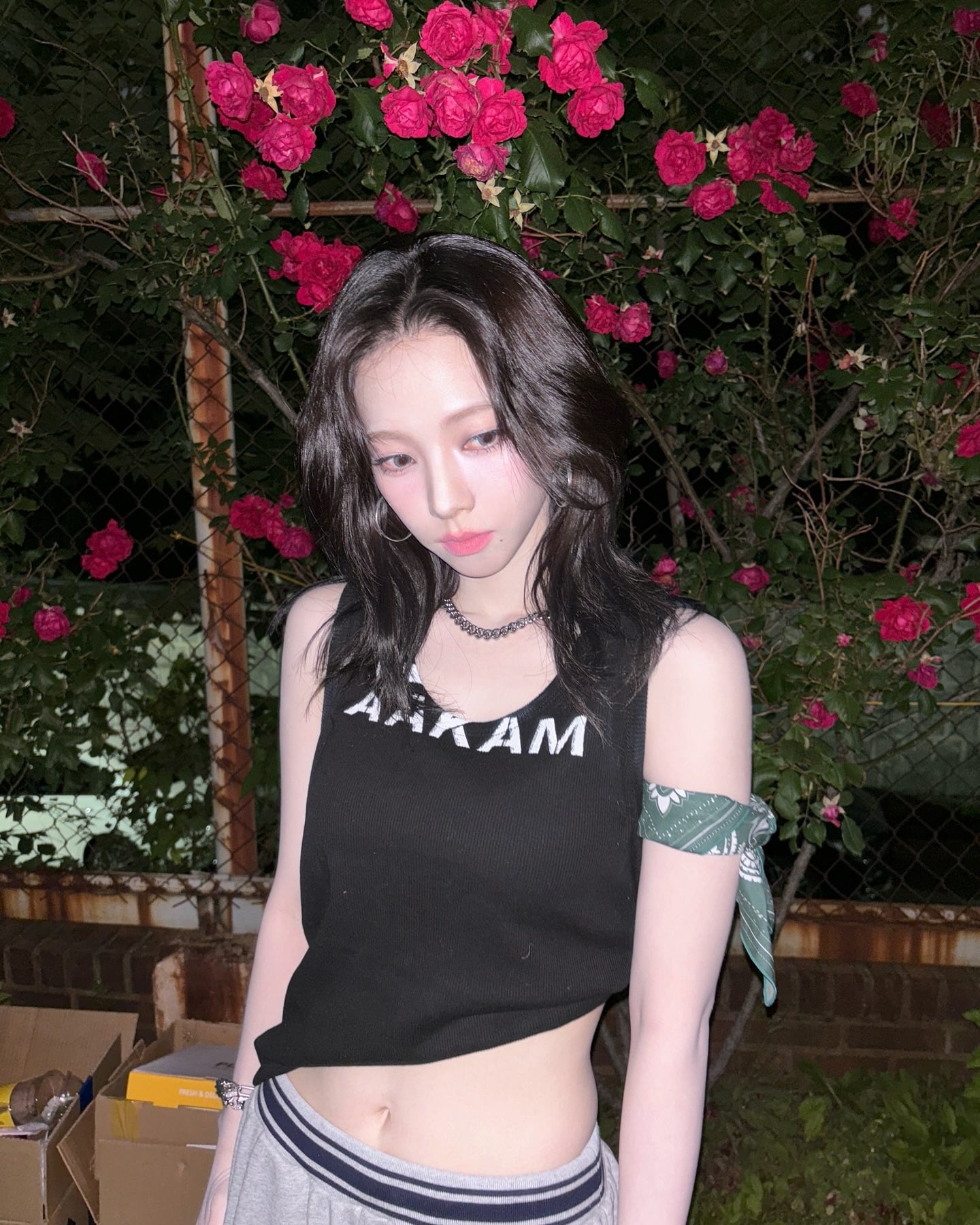 게시글 이미지