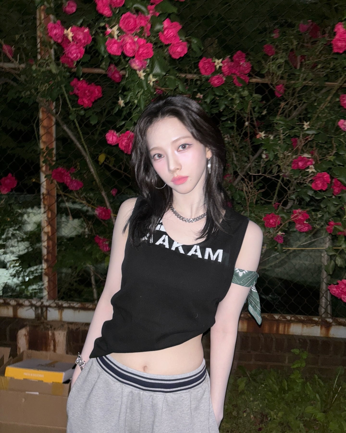 게시글 이미지