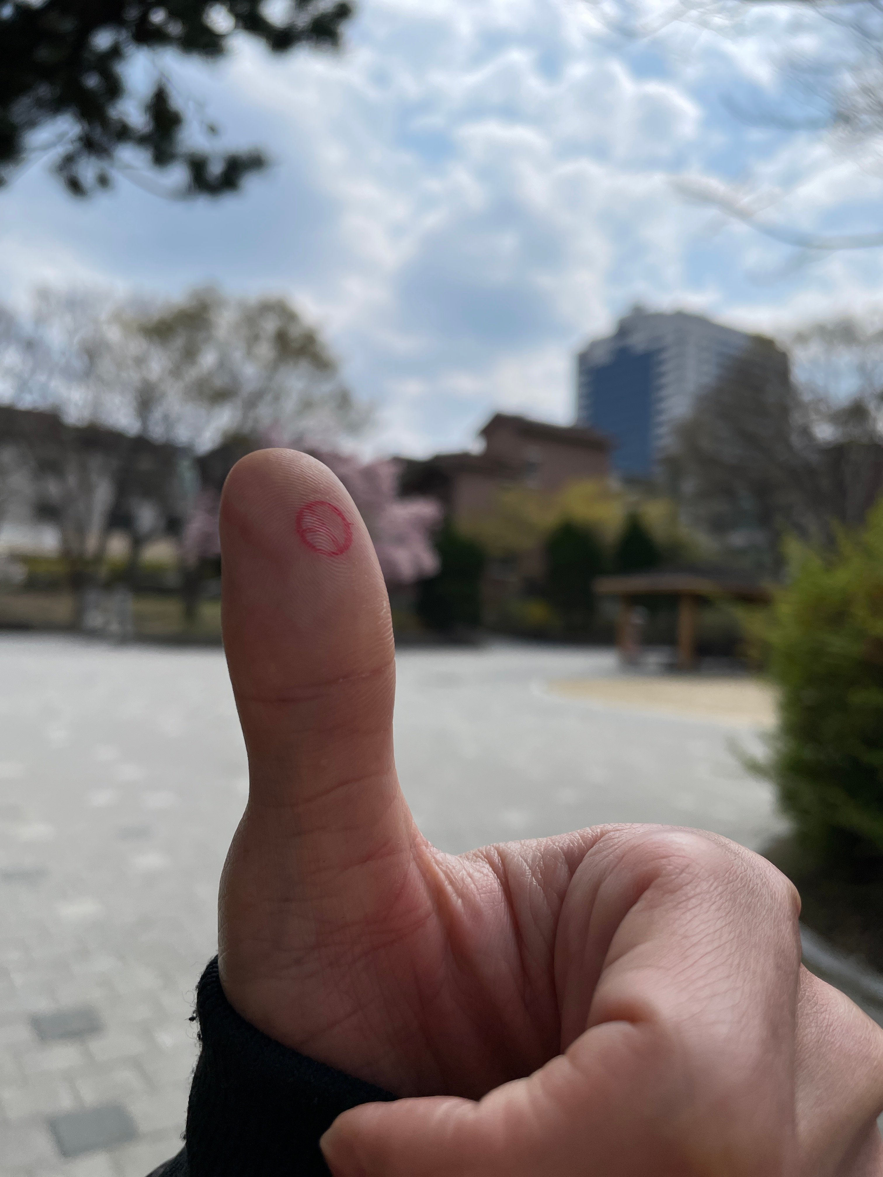 게시글 이미지
