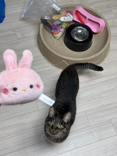 게시글 이미지