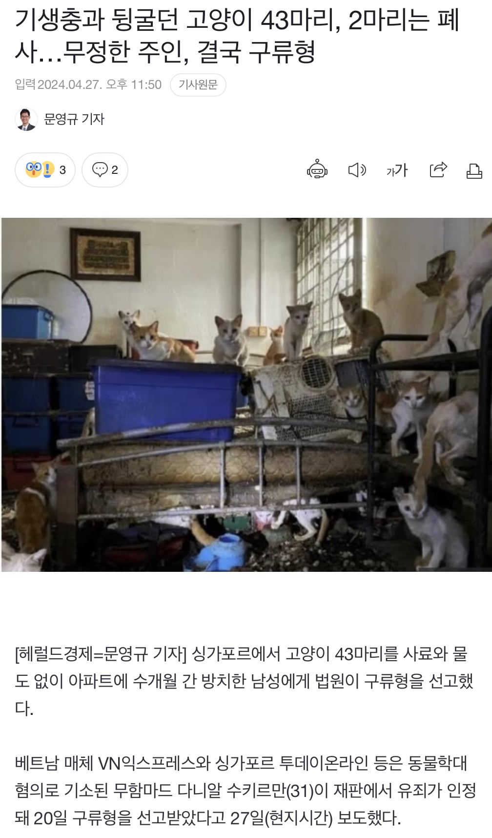 게시글 이미지